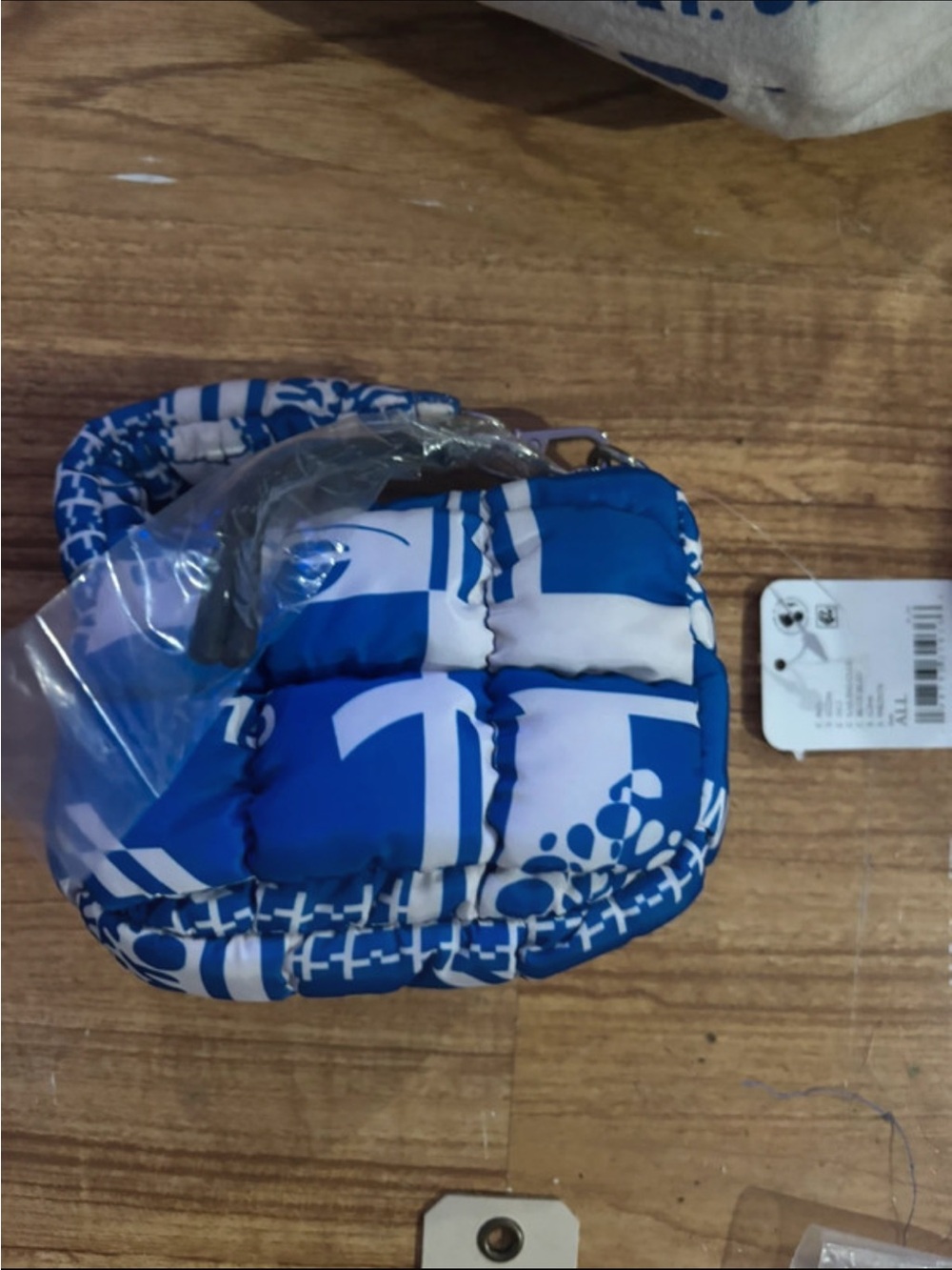 Free People Blue & White Quilted Mini Bag